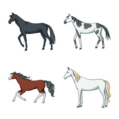 Hayvan ve aygır logosu vektör illüstrasyon. Web için hayvan ve çiftlik stok sembolü seti.