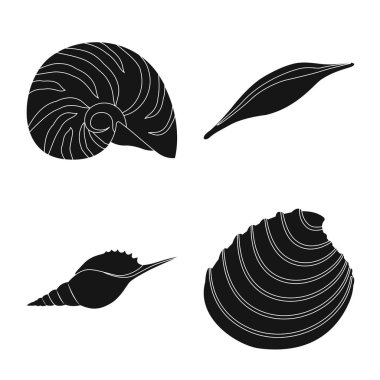 Doğa ve okyanus simgesivektör illüstrasyon. Web için doğa ve yumuşakça stok sembolü koleksiyonu.