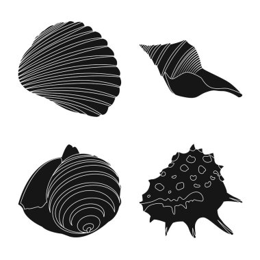 Doğanın izole nesnesi ve okyanus sembolü. Doğa ve yumuşakça stok vektör illüstrasyon koleksiyonu.