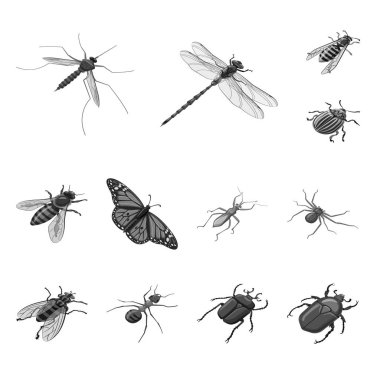 Küçük ve hayvan sembolü izole nesne. Web için küçük ve yaban hayatı stok sembolü seti.