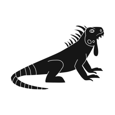 Iguana ve kertenkele sembolü vektör illüstrasyon. Web için iguana ve renkli stok sembolü Koleksiyonu.