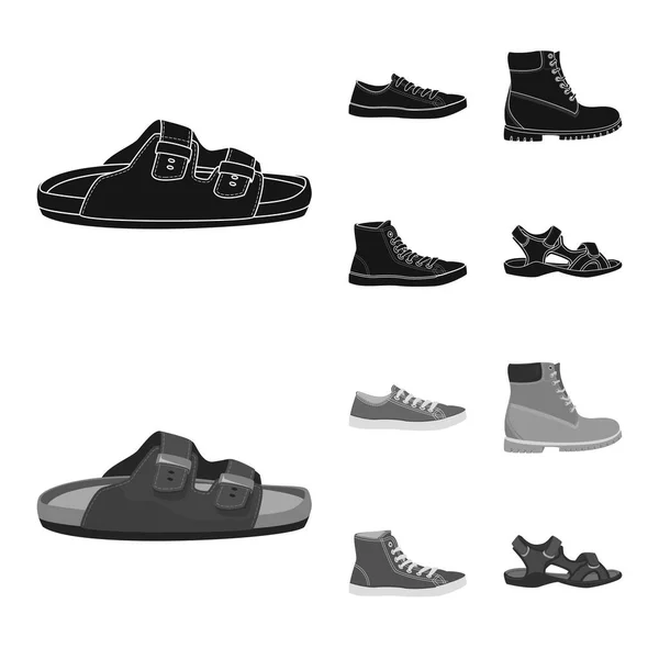 Conception vectorielle de chaussure et icône de chaussures. Collection d'illustrations vectorielles de chaussures et de pieds . — Image vectorielle