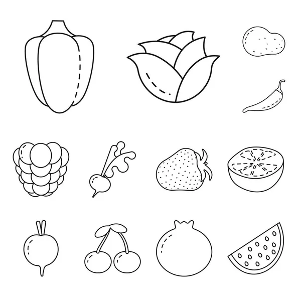 Objeto isolado de ícone saudável e maduro. Conjunto de ilustração vectorial saudável e de colheita . — Vetor de Stock