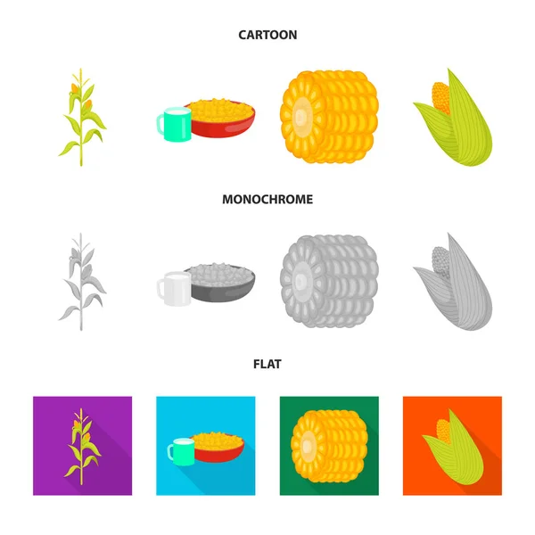 Ilustração vetorial do campo de milho e logotipo vegetal. Conjunto de milho e vegetariano ilustração do vetor de estoque . — Vetor de Stock