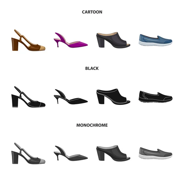 Diseño vectorial de calzado y signo de mujer. Colección de calzado y pie stock vector ilustración . — Vector de stock