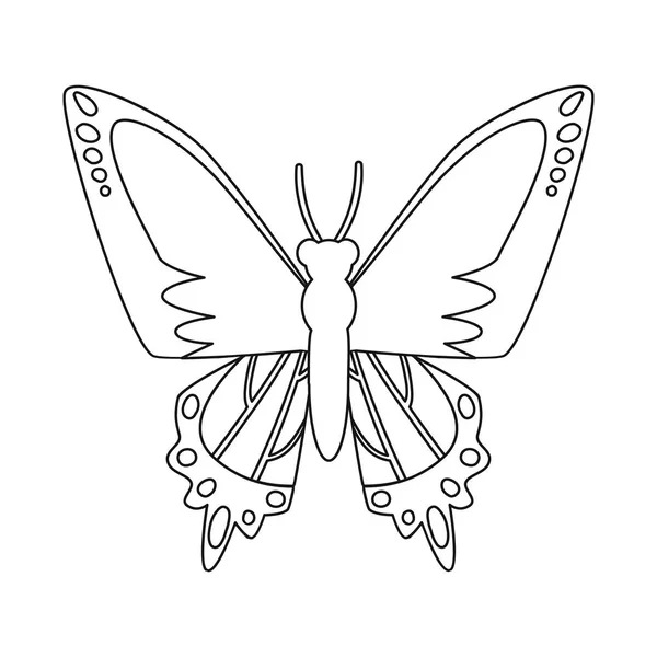 Objeto isolado de borboleta e ícone de espécie. Conjunto de borboleta e vetor voador ícone para estoque . — Vetor de Stock