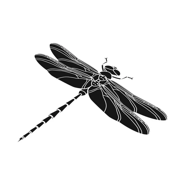 Isolerat objekt av Dragonfly och färgglada logo. Uppsättning Dragonfly och skönhet lager symbol för webben. — Stock vektor