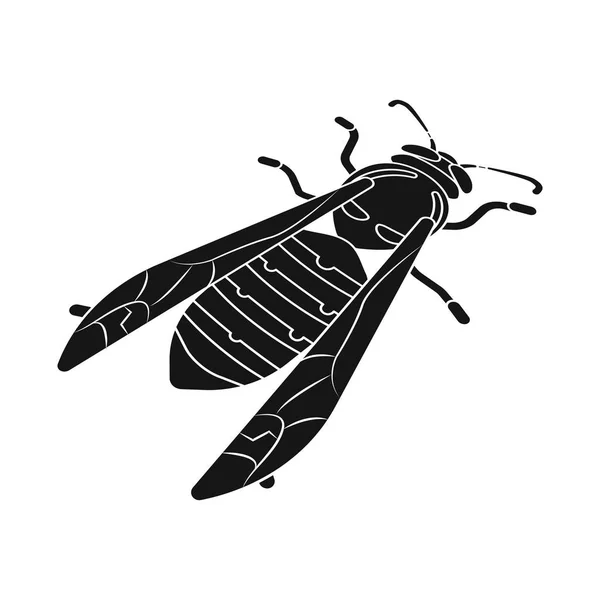 Diseño vectorial de abeja y miel símbolo. Conjunto de abejas y naturaleza símbolo de stock para web . — Vector de stock