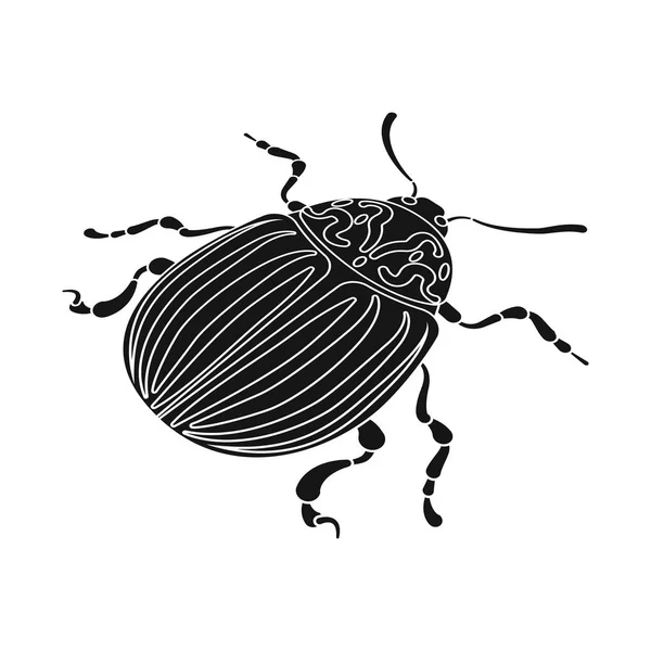 Objeto isolado de escaravelho e ícone de colorado. Coleção de besouro e símbolo de estoque listrado para web . —  Vetores de Stock