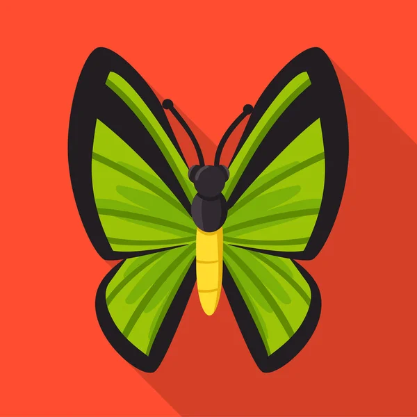Vektorová ilustrace motýla a krásného znaménka. Kolekce motýla a vícebarevných akciových symbolů pro web. — Stockový vektor