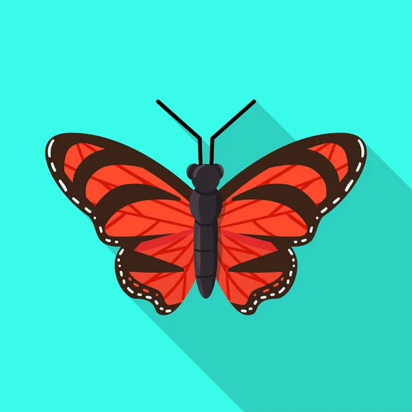 Vektor-Design von Schmetterling und Beauty-Ikone. Set von Schmetterlings- und Wildtiervektorsymbolen für Aktien. — Stockvektor