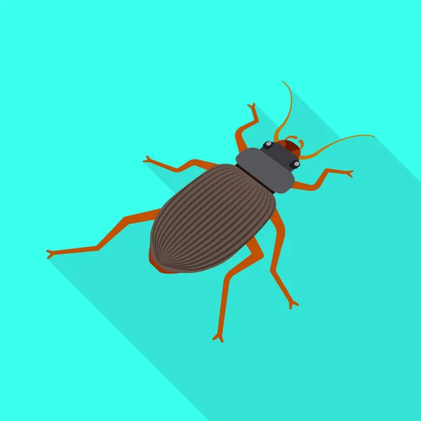 Vektor design av Beetle och trädgård symbol. Uppsättning av Beetle och bug Stock symbol för webben. — Stock vektor