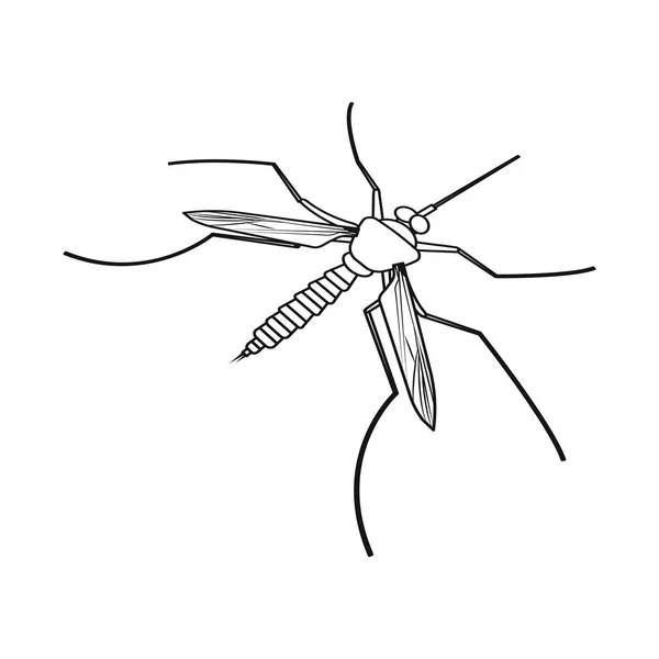 Diseño vectorial de mosquito y símbolo de mosquito. Conjunto de gnat y virus icono de vector para stock . — Vector de stock