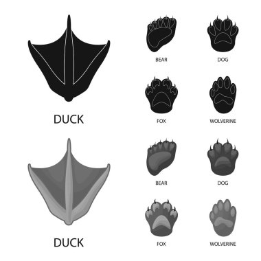 Adım ve yürüyüş logosu izole nesne. Stok için adım ve fauna vektör simgesi kümesi.