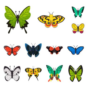 Doğanın vektör tasarımı ve yaz sembolü. Doğa ve hayvan stok vektör illüstrasyon koleksiyonu.