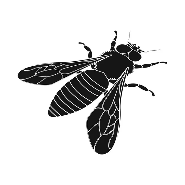 Vector illustratie van Hommel en wild logo. Collectie van Hommel en biologie vector pictogram voor voorraad. — Stockvector