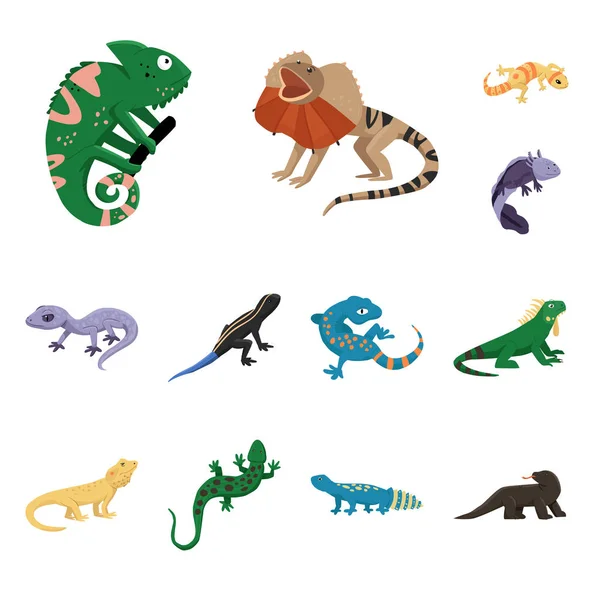Geïsoleerd object van dierlijke en reptiel icoon. Collectie van dier en natuur voorraad symbool voor web. — Stockvector