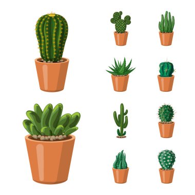 Kaktüs ve pot simge vektör Illustration. Kaktüs ve kaktüsler koleksiyonu stok web simgesi.