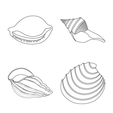 Egzotik ve deniz ürünleri logosu vektör tasarımı. Egzotik ve su stok vektör çizim koleksiyonu.