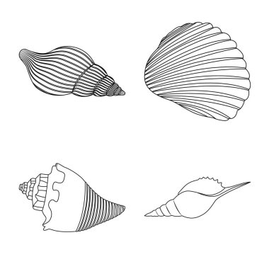 Egzotik ve deniz ürünleri simgesinin izole nesne. Web için egzotik ve su stok sembolü koleksiyonu.