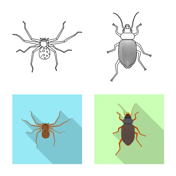 Conception vectorielle de l'icône insecte et mouche. Ensemble d'icône vectorielle d'insecte et d'élément pour le stock . — Image vectorielle