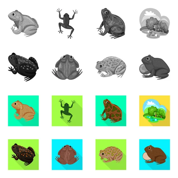 Projeto vetorial da vida selvagem e sinal de pântano. Coleção de animais selvagens e répteis ilustração vetor estoque . — Vetor de Stock