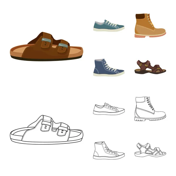 Objeto aislado de zapato y símbolo de calzado. Set de zapatos y pies stock vector ilustración . — Vector de stock