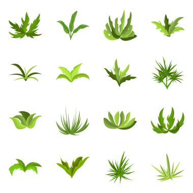 Isolated object of garden and grass symbol. Collection of garden and shrub stock symbol for web. clipart
