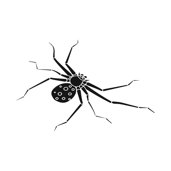 Objeto aislado del icono de la araña y la viuda. Conjunto de araña y divertido símbolo de stock para la web . — Vector de stock