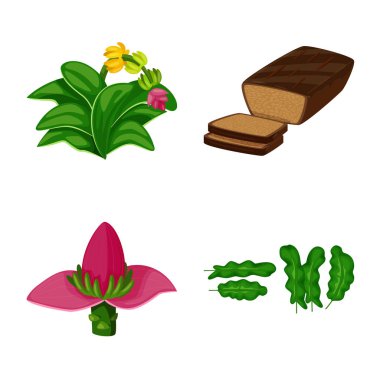 Tropikal ve olgun işareti vektör tasarımı. Hisse senedi için tropikal ve potasyum vektör simge topluluğu.