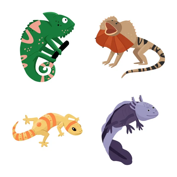 Objet isolé du logo animal et reptile. Ensemble d'illustration vectorielle de stock d'animaux et de nature . — Image vectorielle