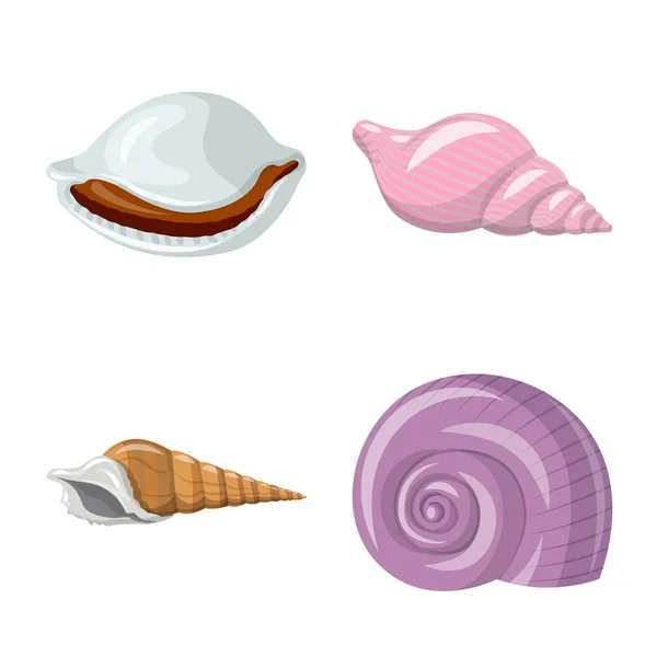 Vectorillustratie van seashell en weekdier logo. Reeks van de Zeeschelp en zeevruchten voorraad vectorillustratie. — Stockvector