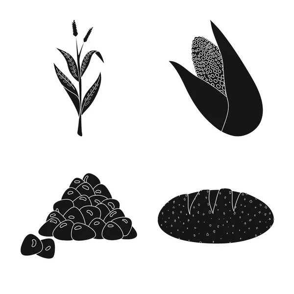 Illustration vectorielle de signe biologique et végétarien. Collection d'icônes vectorielles biologiques et alimentaires pour stock . — Image vectorielle
