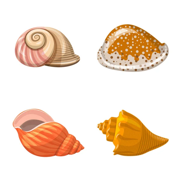 Vektor design av snäckor och mollusk tecken. Insamling av snäckor och skaldjur Stock symbol för webben. — Stock vektor