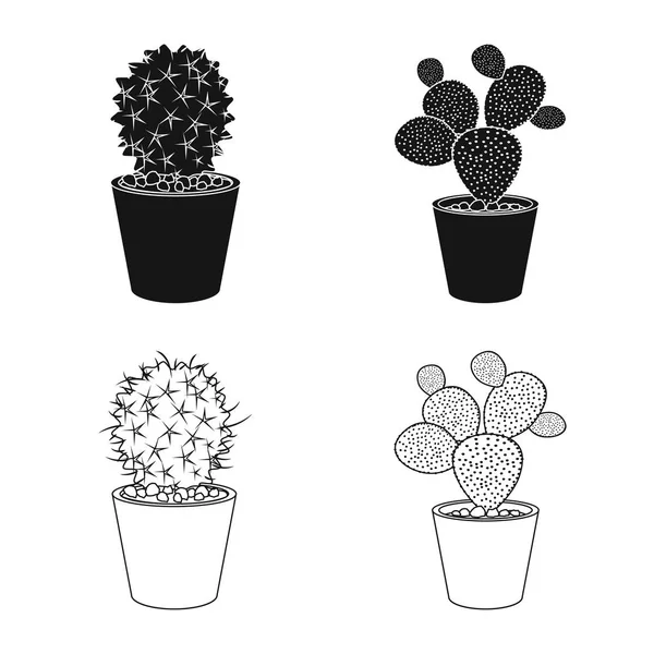 Projekt wektor symbol Kaktus i doniczkę. Zestaw Kaktus i kaktusy wektor ikona na magazynie. — Wektor stockowy