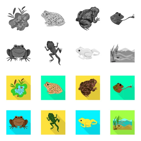 Conception vectorielle de la faune et du symbole de tourbière. Ensemble d'animaux sauvages et reptiles symbole de stock pour la toile . — Image vectorielle