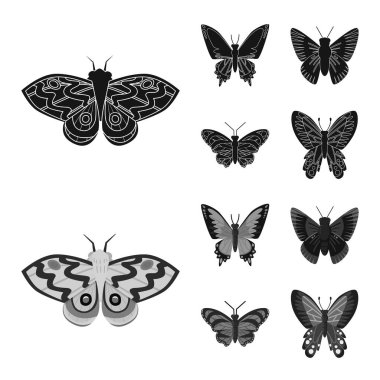 Egzotik ve botanik işareti vektör Illustration. Stok için egzotik ve tropikal vektör simgesi koleksiyonu.