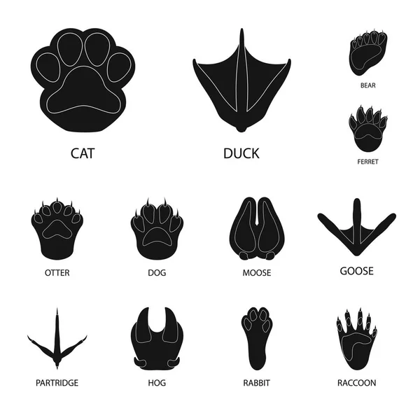 Vector design of feet and fauna sign. Set of feet and print stock vector illustration. Royalty Free Stock Illustrations