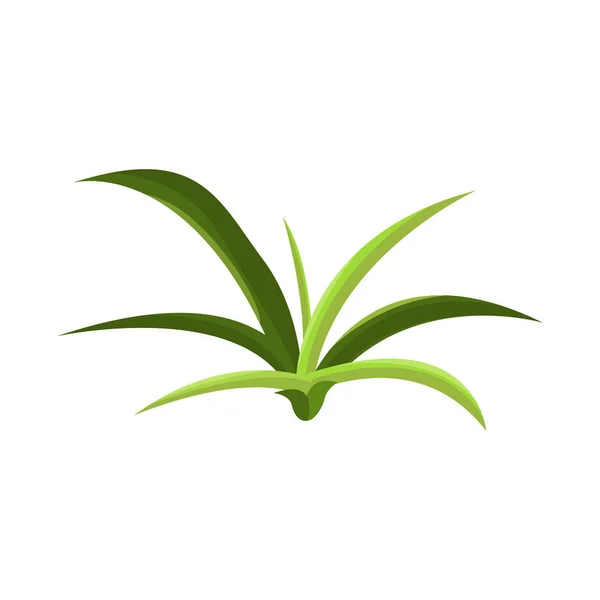 Illustrazione vettoriale di cespuglio e simbolo del parco. Set di cespuglio e verde stock simbolo per il web . — Vettoriale Stock