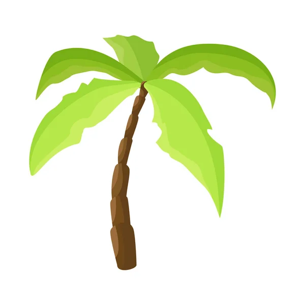 Isoliertes Objekt der Palme und Kokosnuss-Ikone. Palm- und Hawaii-Vektorsymbole für Aktien. — Stockvektor