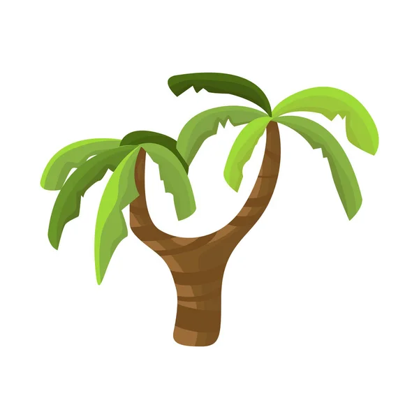 Projeto vetorial de palma e símbolo de decoração. Coleção de palmeiras e estoques florestais ilustração vetorial . — Vetor de Stock