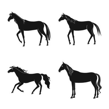 Fauna ve kısrak sembolü vektör tasarımı. Hisse senedi için fauna ve aygır vektör simgesi seti.