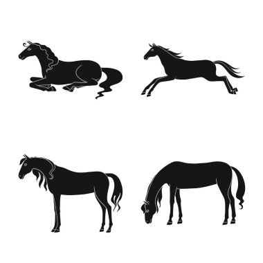 Fauna ve kısrak sembolü izole nesne. Hisse senedi için fauna ve aygır vektör simgesi koleksiyonu.