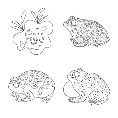 Amfitbiya ve hayvan işareti vektör tasarımı. Stok için amfitbiya ve doğa vektör simgesi kümesi.