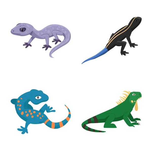 Isolated object of animal and reptile sign. Collection of animal and nature vector icon for stock. — Stock Vector