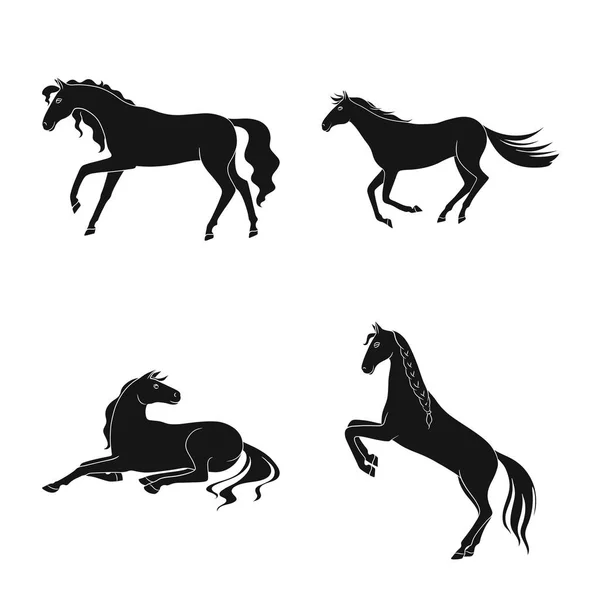 Vector illustration of fauna and mare icon. Set of fauna and stallion stock vector illustration. — Stock Vector