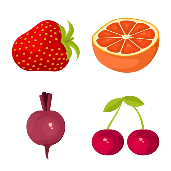 Ilustración vectorial del icono vegetal y alimenticio. Conjunto de icono de vector vegetal y maduro para stock . — Archivo Imágenes Vectoriales