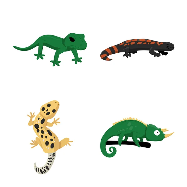 Illustration vectorielle du symbole animal et reptile. Ensemble de symbole de stock animal et nature pour la toile . — Image vectorielle