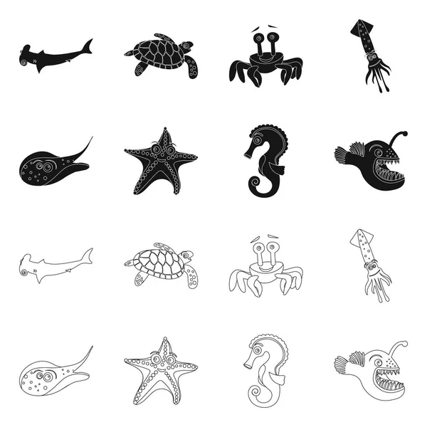 Objeto aislado de mar y símbolo animal. Conjunto de ilustración de vectores marinos y marinos . — Vector de stock