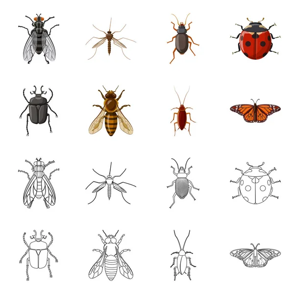 Diseño vectorial del signo de insectos y moscas. Colección de insectos y símbolo de stock de elementos para la web . — Archivo Imágenes Vectoriales